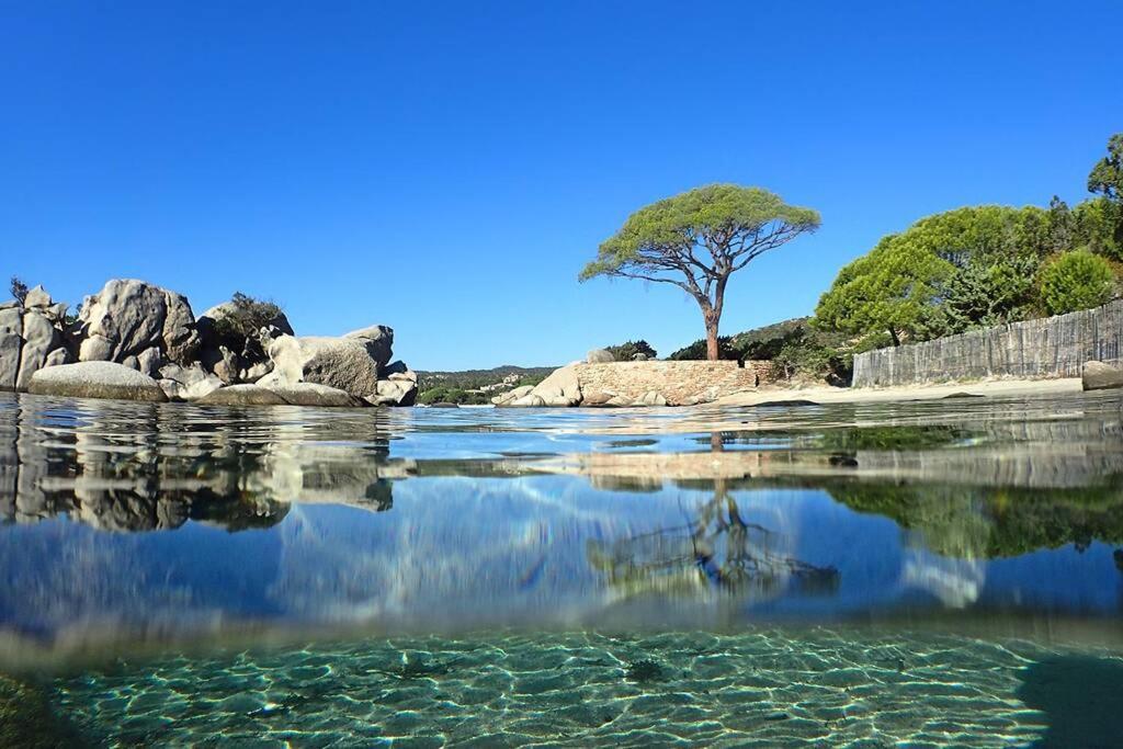 Myrta1 Villa Porto Vecchio Esterno foto